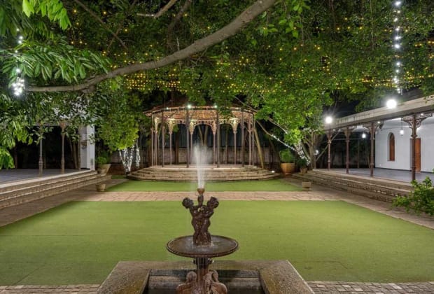 The Tamarind Tree