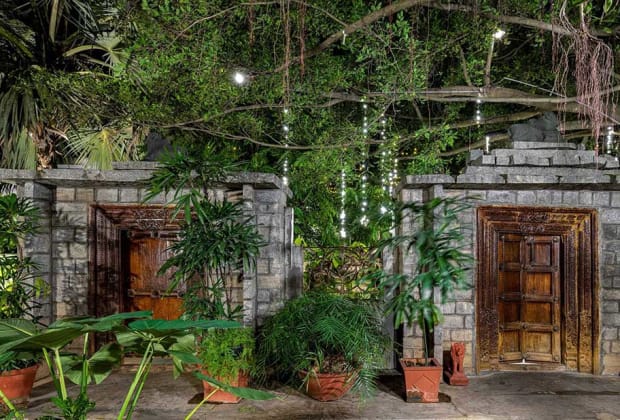 The Tamarind Tree