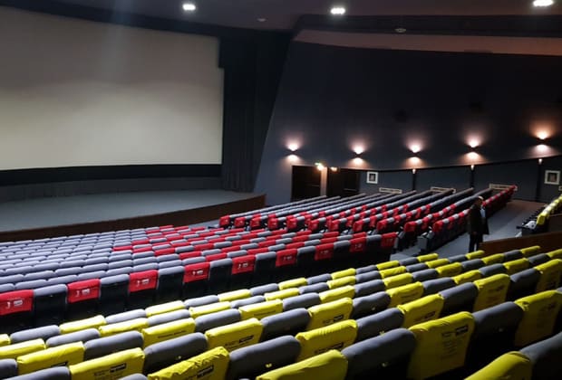 Cine Florin Piersic