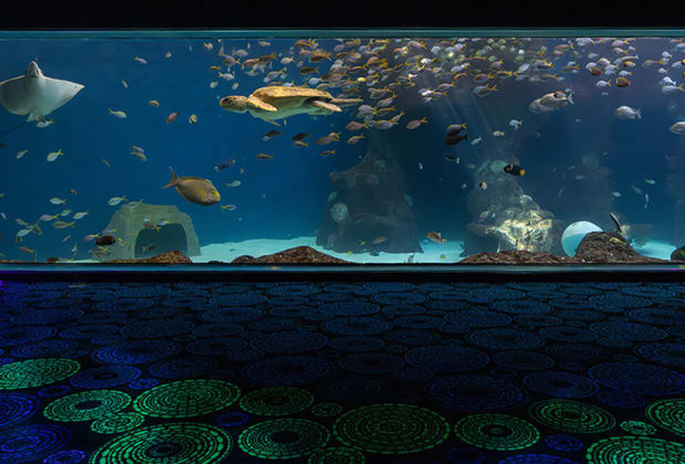 Acuario de la Florida