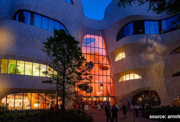 American Museum of Natural History (AMNH)