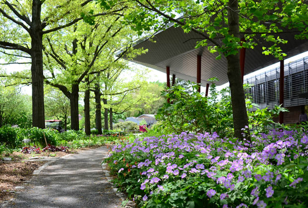 Queens Botanical Garden