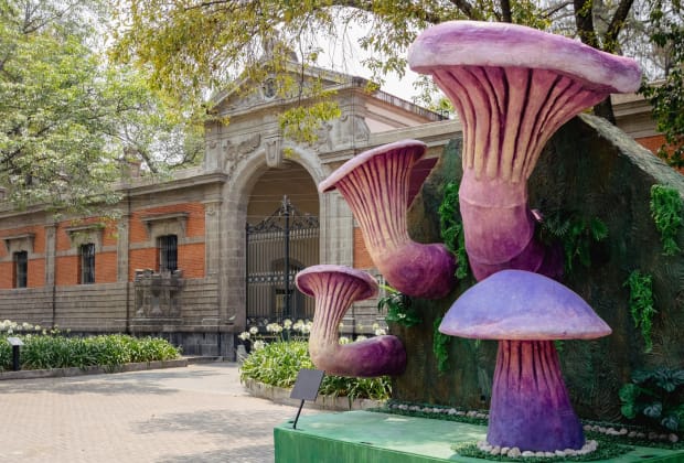 Bosque de Chapultepec