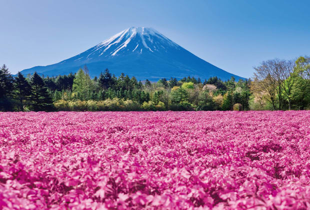 Fuji Motosuko Resort