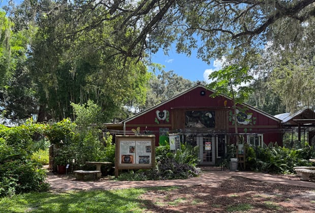 Chase Sanctuary and Wildlife Conservancy, 501-C(3)
