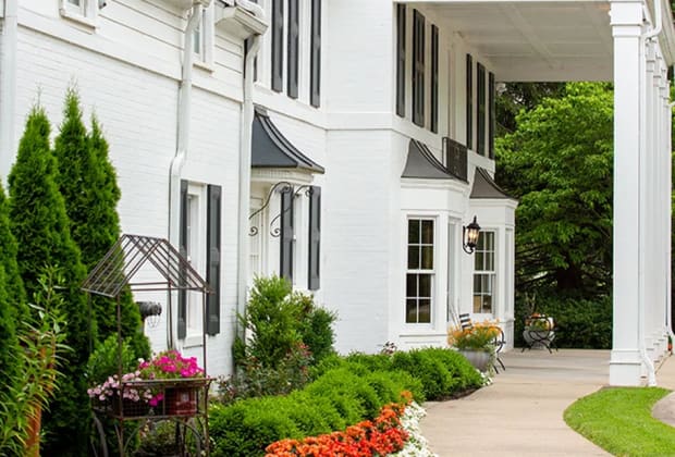 Black Iris Estate