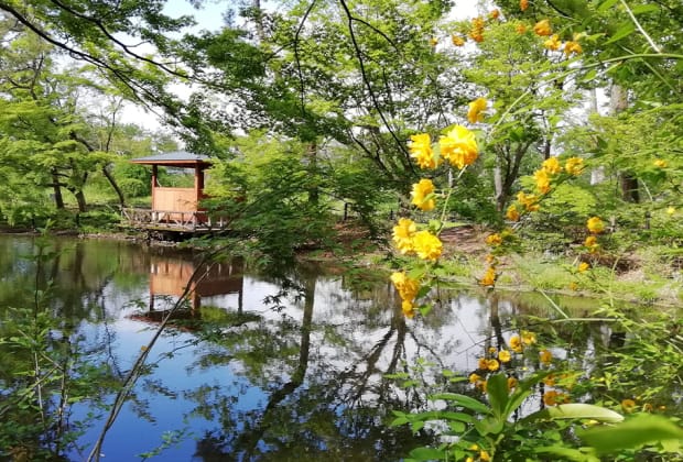 Kyoto Botanical Gardens