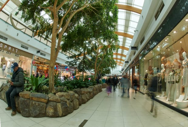 Mall Plaza El Trebol