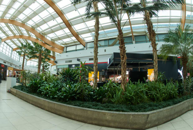 Mall Plaza El Trebol