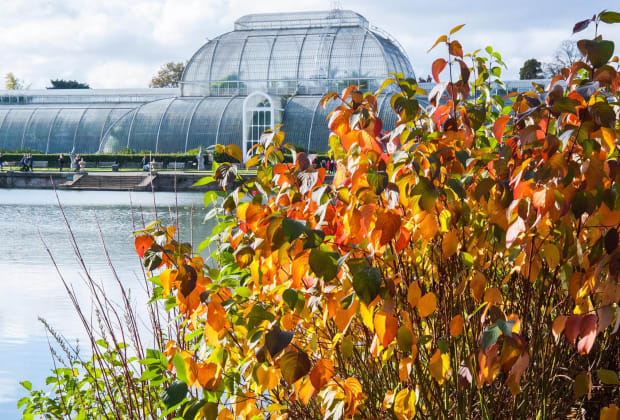 Royal Botanic Gardens