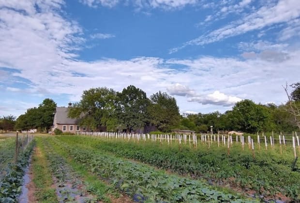 Queens County Farm Museum
