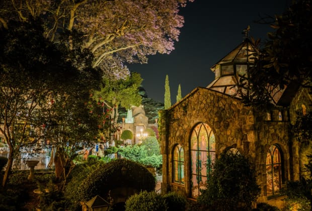 Shepstone Gardens