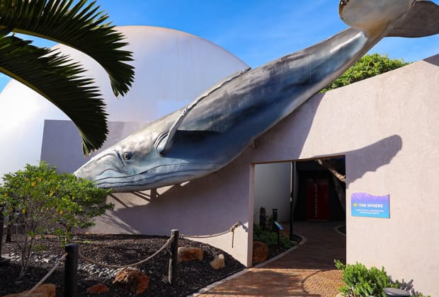 Maui Ocean Center, The Aquarium of Hawaii