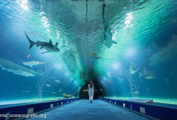 Oceanogràfic Valencia