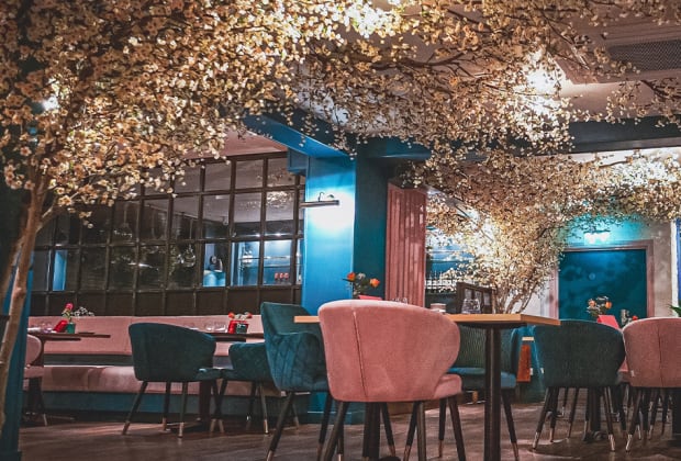 MUSE Brasserie - Bristol