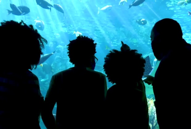 Aquarium of the Pacific