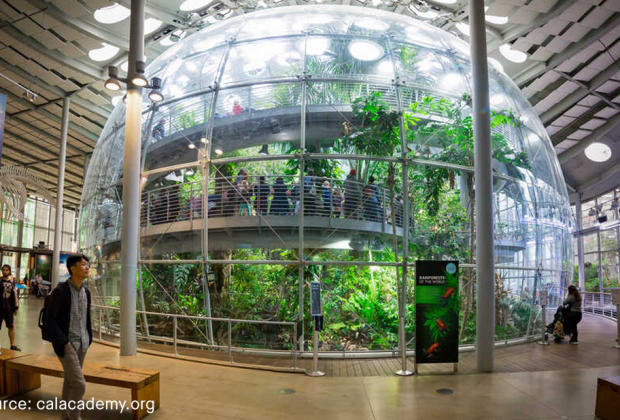 California Academy of Sciences