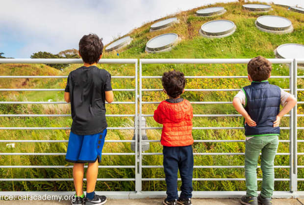 California Academy of Sciences
