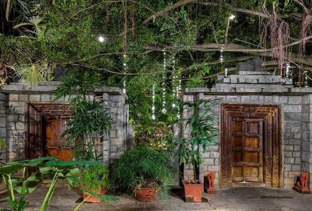 The Tamarind Tree