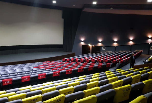 Cine Florin Piersic