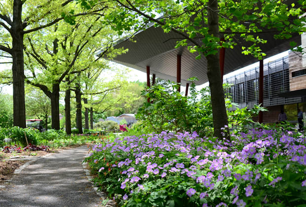 Queens Botanical Garden