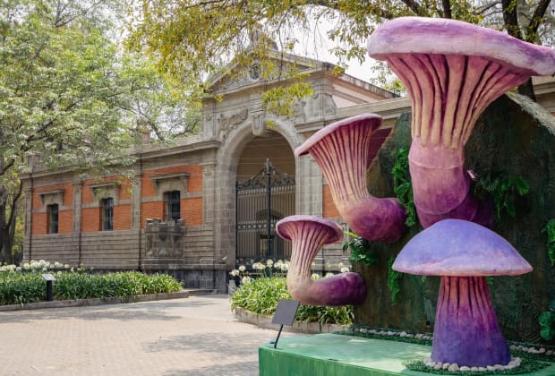 Bosque de Chapultepec