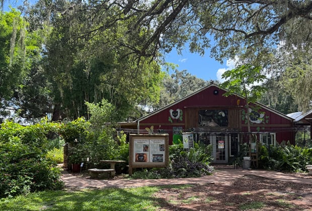 Chase Sanctuary and Wildlife Conservancy, 501-C(3)