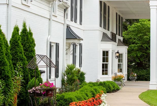 Black Iris Estate