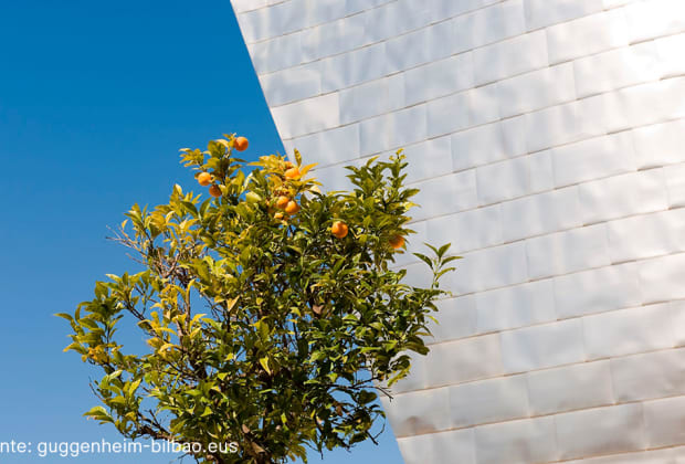 Museo Guggenheim Bilbao