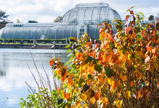 Royal Botanic Gardens