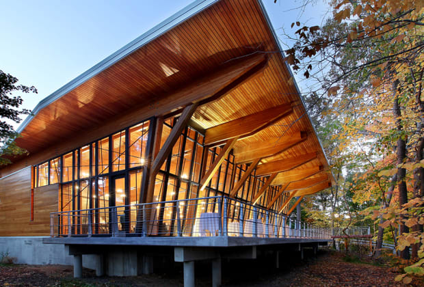 The Bissell Tree House at John Ball Zoo