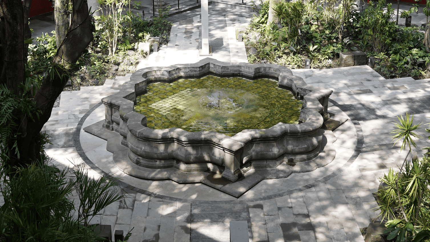 Museo Franz Mayer Featured Event