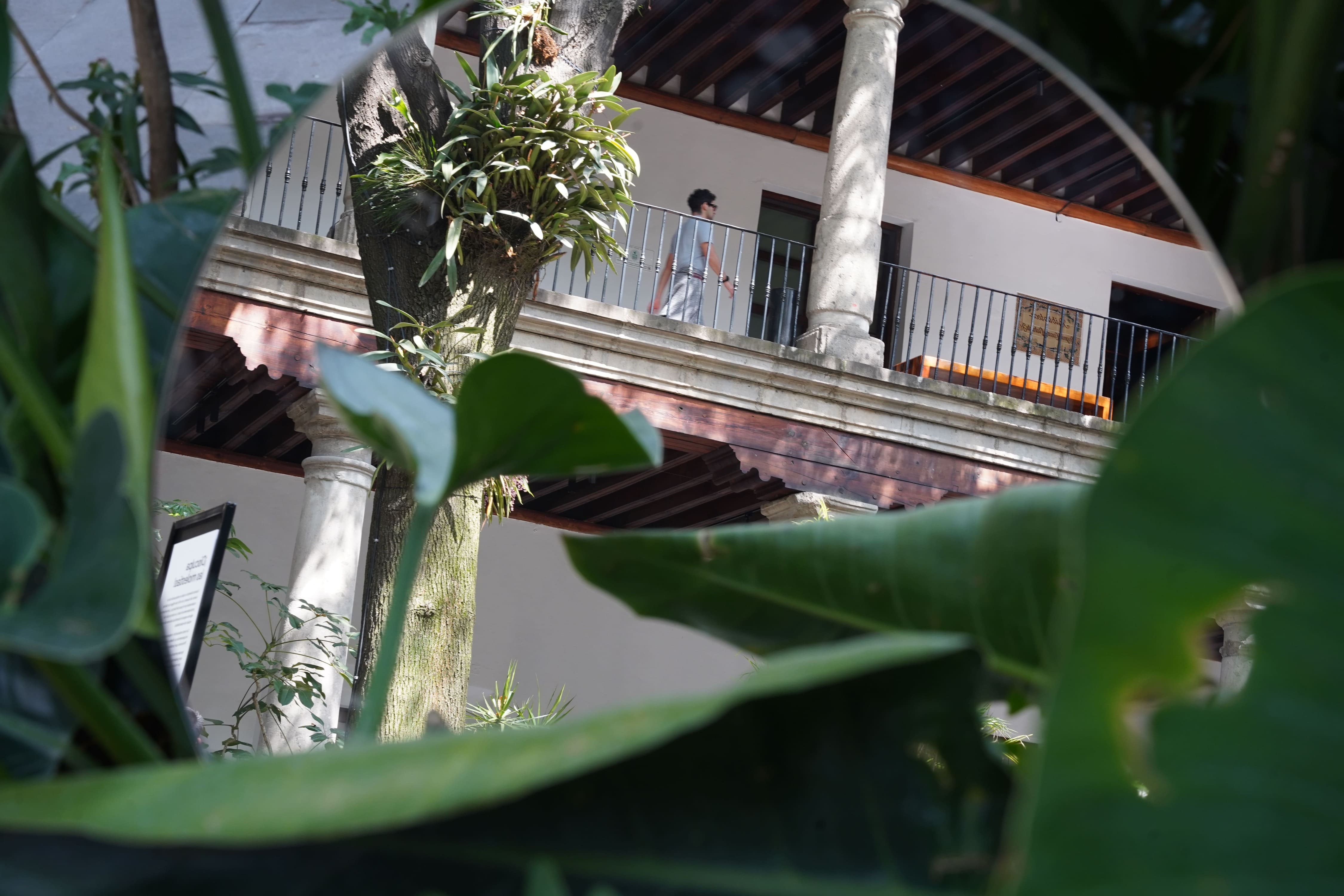 Museo Franz Mayer Featured Event