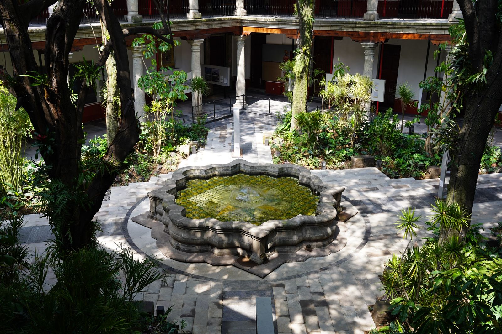 Museo Franz Mayer Featured Event