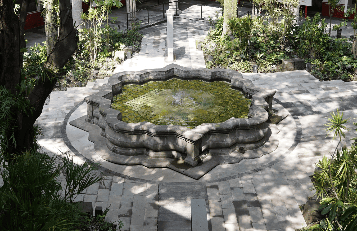 Museo Franz Mayer Featured Event