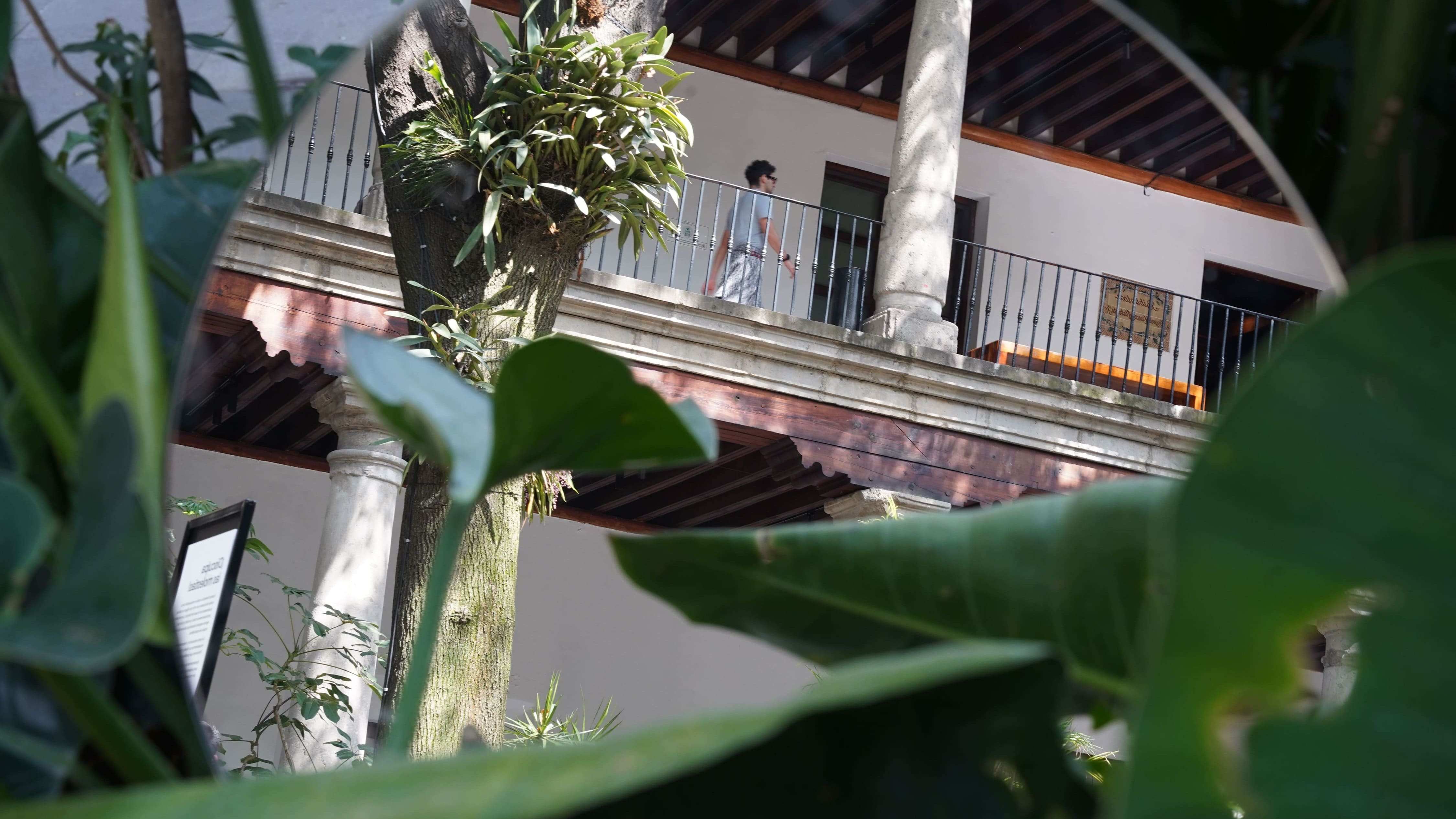 Museo Franz Mayer Featured Event